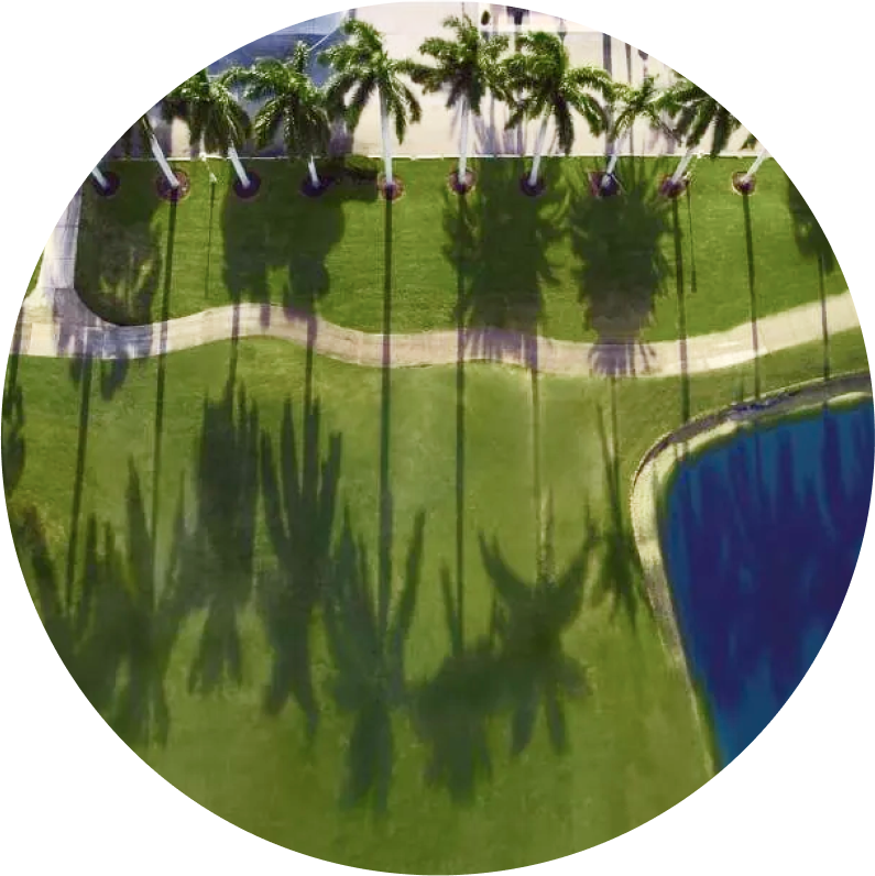 Aerial view of the Boca Raton Club Cours showing palm trees casting long shadows on the grass.